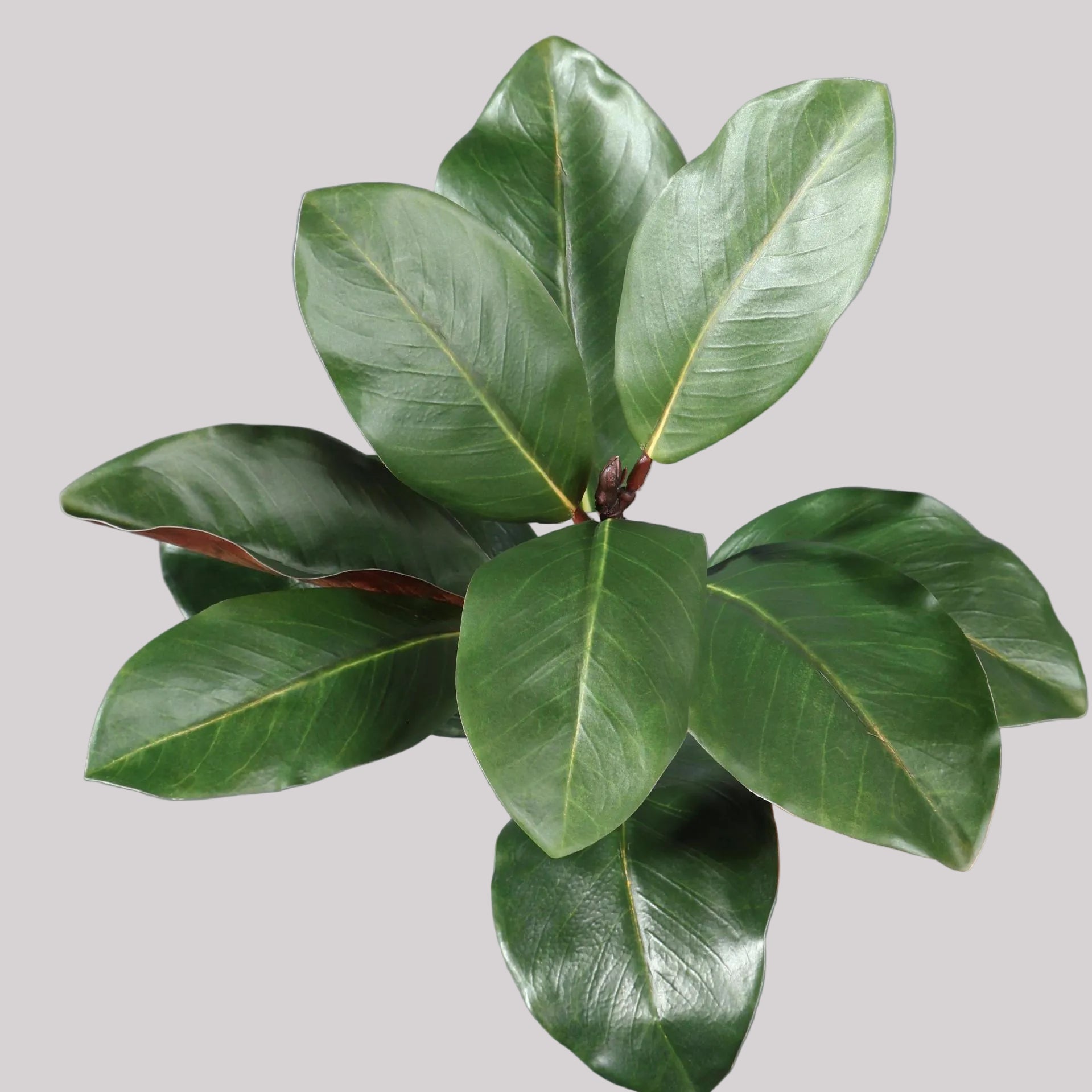Faux Magnolia Leaf Branch Artificial Plant Decoration - 22"