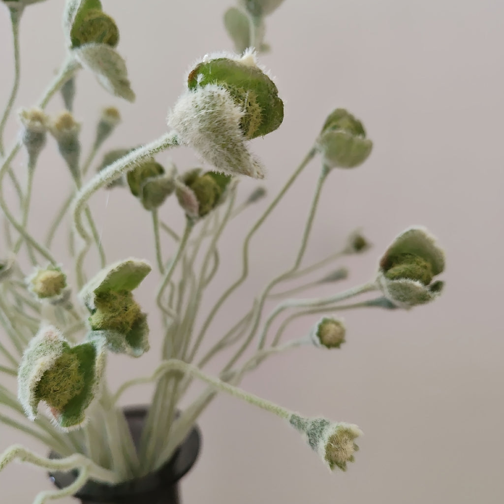 Curly wavy stem flocked poppy buds, velvety green faux flower for cottage minimalist table decor