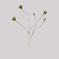 Soft flocked fuzzy green poppy bud stems, rustic farmhouse artificial flower for vase shelf home decor
