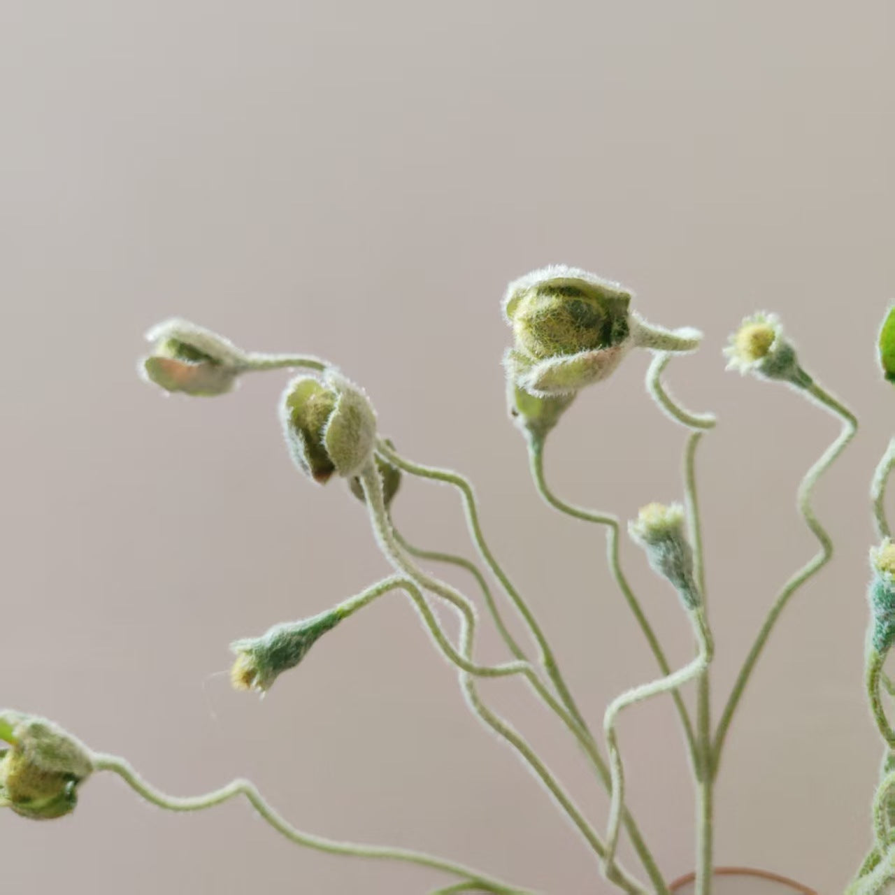 Real Touch Flocked Poppy Flower Bud Artificial Plant - 25.59''