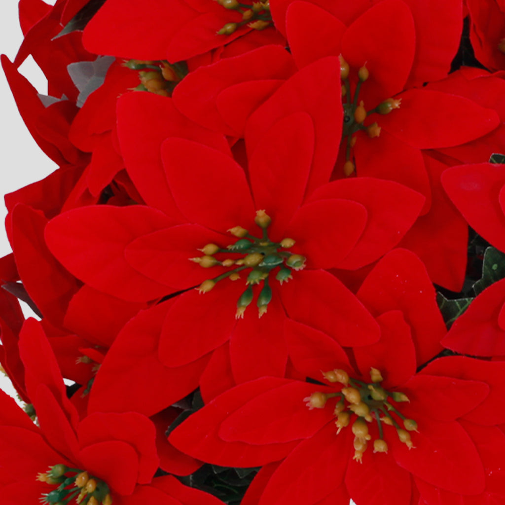 Matching set of dense poinsettia christmas trees for symmetrical indoor fireplace festive styling