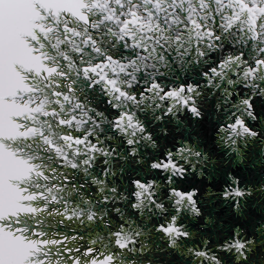 Close up dense snow flocked foliage of white artificial christmas tree realistic evergreen texture